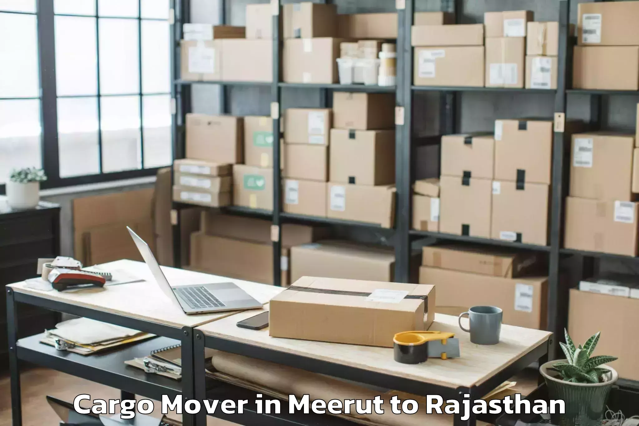 Book Meerut to Mavli Cargo Mover Online